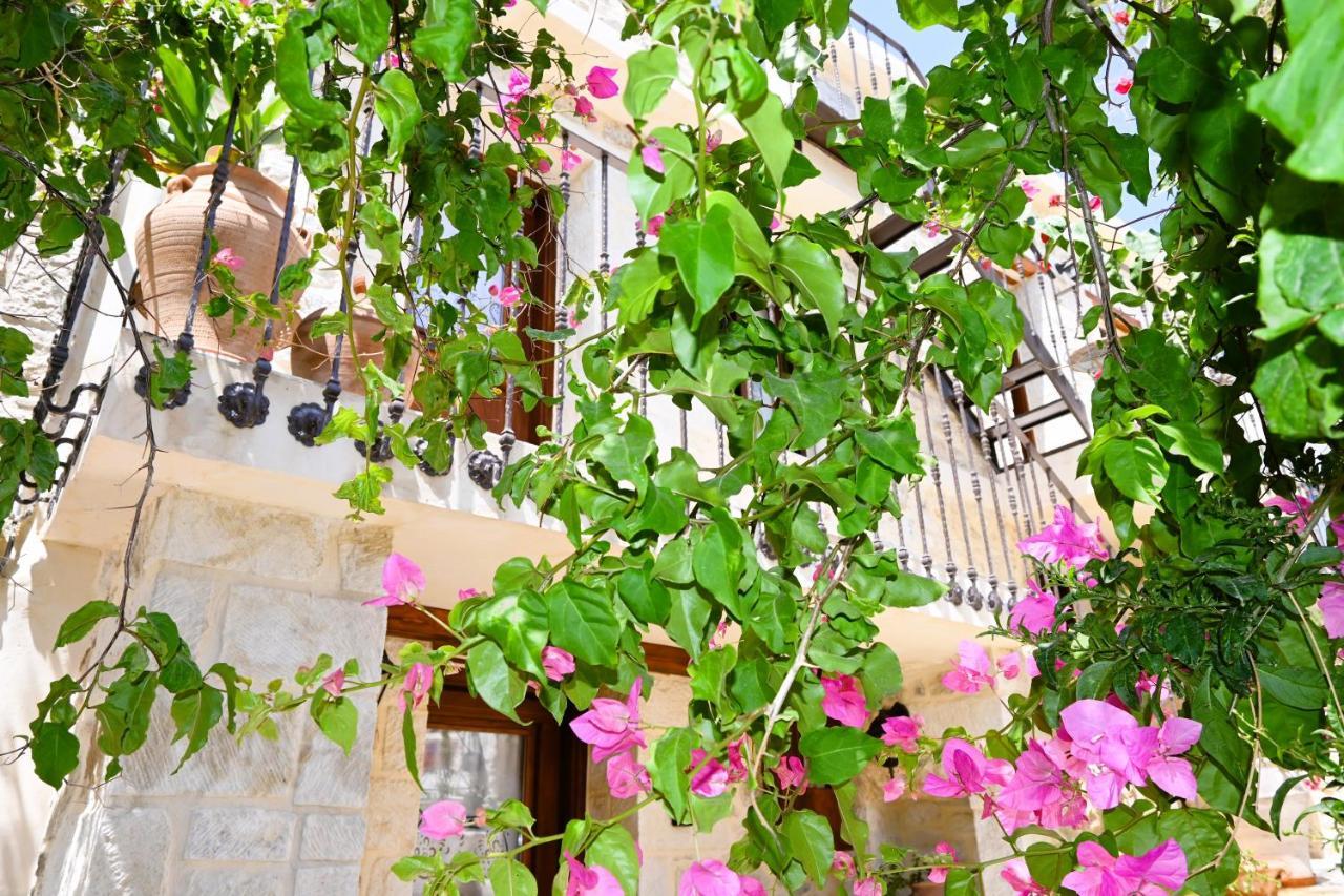 Villa Athina - Irene Country House Ierápetra Exteriér fotografie